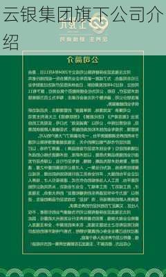 云银集团旗下公司介绍