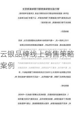 云银品牌线上销售策略案例
