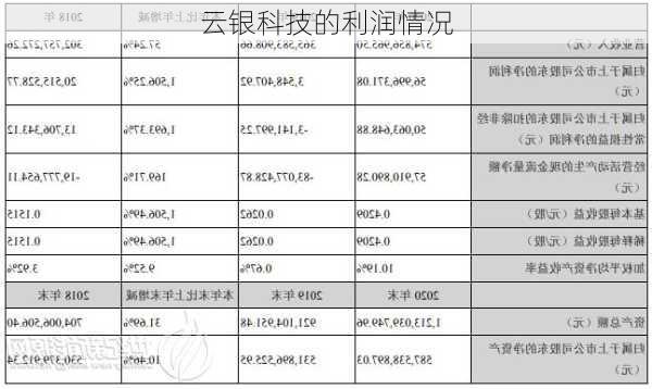 云银科技的利润情况