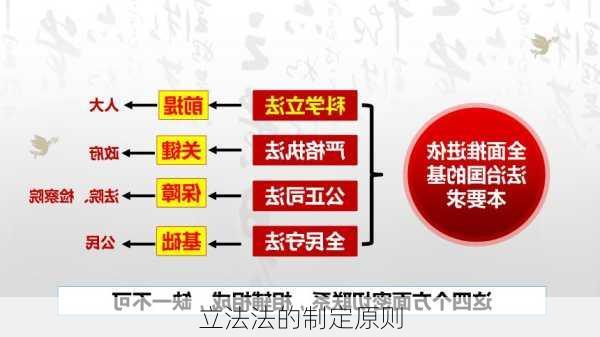 立法法的制定原则