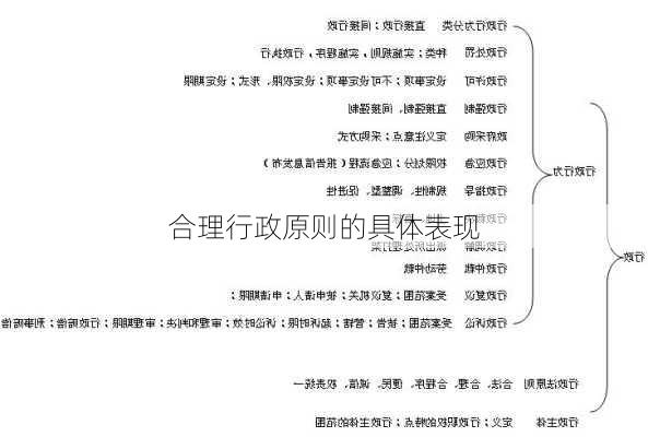 合理行政原则的具体表现