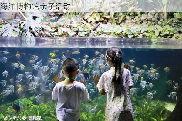 海洋博物馆亲子活动