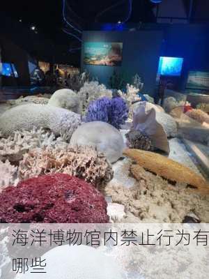 海洋博物馆内禁止行为有哪些