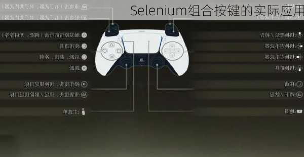 Selenium组合按键的实际应用