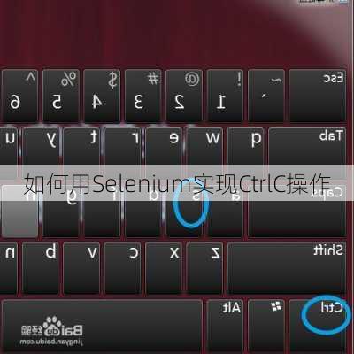 如何用Selenium实现CtrlC操作