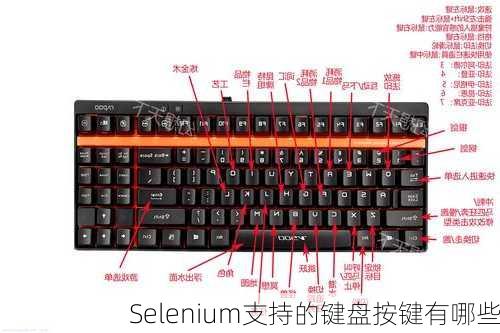 Selenium支持的键盘按键有哪些
