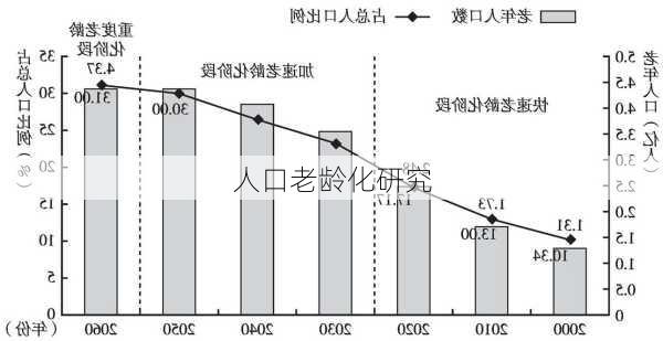 人口老龄化研究