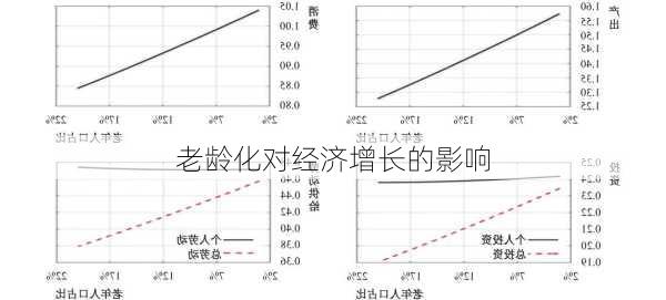 老龄化对经济增长的影响