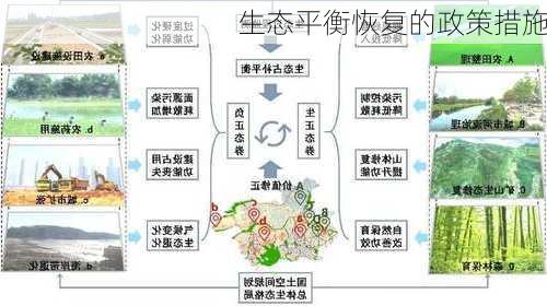 生态平衡恢复的政策措施