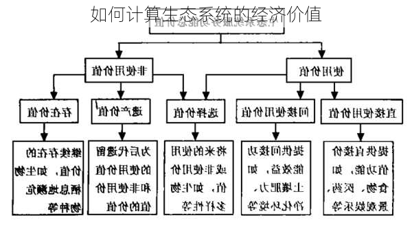 如何计算生态系统的经济价值