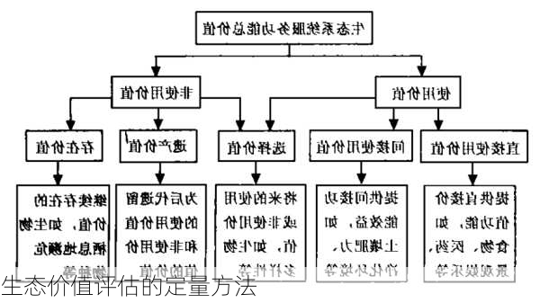 生态价值评估的定量方法