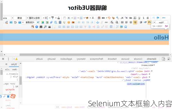 Selenium文本框输入内容