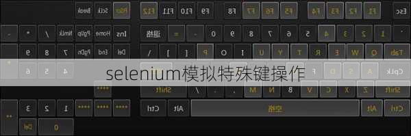 selenium模拟特殊键操作