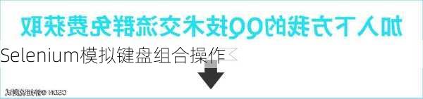 Selenium模拟键盘组合操作