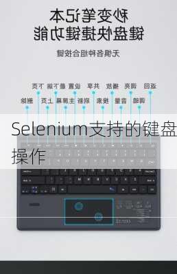 Selenium支持的键盘操作