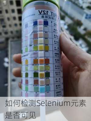 如何检测Selenium元素是否可见