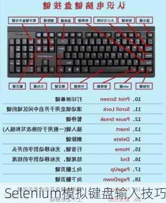 Selenium模拟键盘输入技巧
