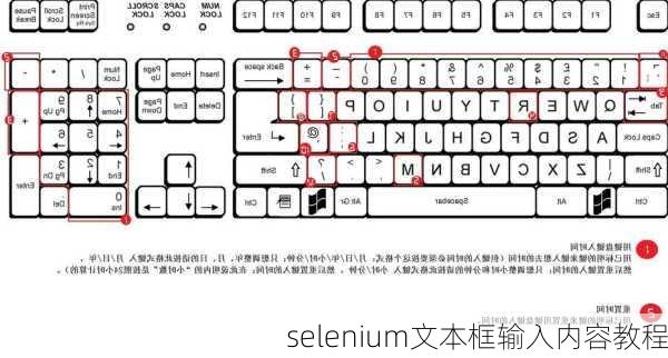 selenium文本框输入内容教程