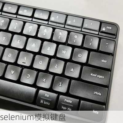 selenium模拟键盘