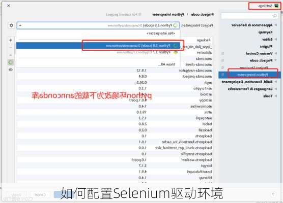 如何配置Selenium驱动环境