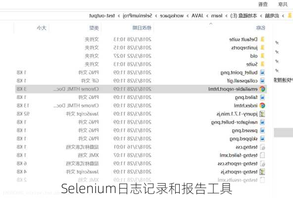 Selenium日志记录和报告工具