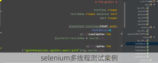 selenium多线程测试案例