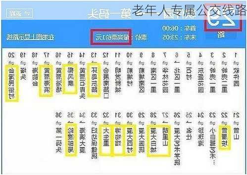 老年人专属公交线路