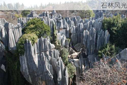 石林风光