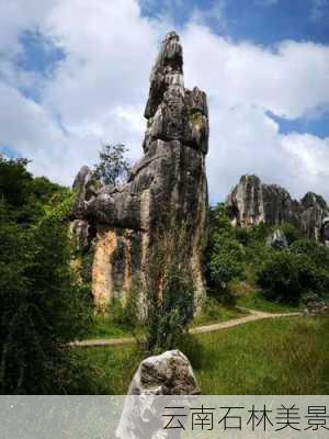 云南石林美景