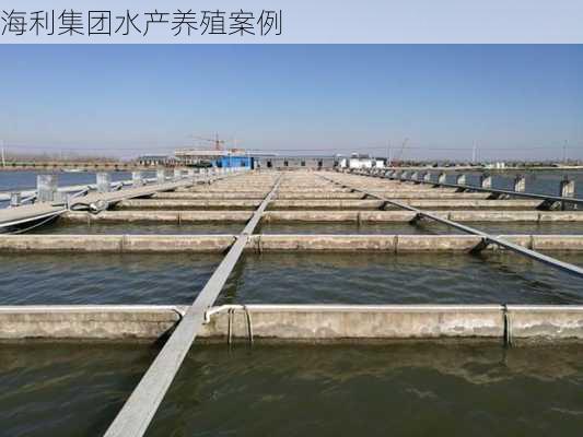 海利集团水产养殖案例