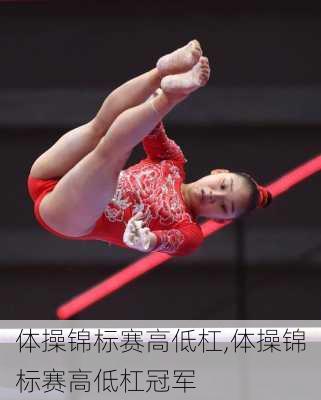 体操锦标赛高低杠,体操锦标赛高低杠冠军