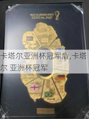 卡塔尔亚洲杯冠军盾,卡塔尔 亚洲杯冠军