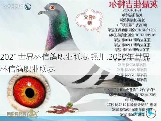 2021世界杯信鸽职业联赛 银川,2020年世界杯信鸽职业联赛