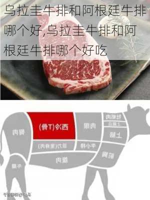 乌拉圭牛排和阿根廷牛排哪个好,乌拉圭牛排和阿根廷牛排哪个好吃