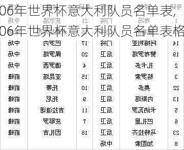 06年世界杯意大利队员名单表,06年世界杯意大利队员名单表格
