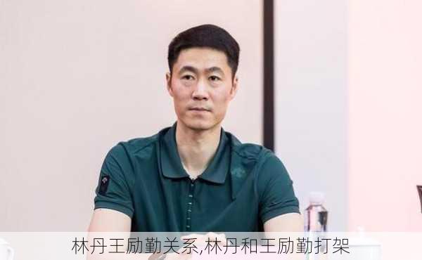 林丹王励勤关系,林丹和王励勤打架