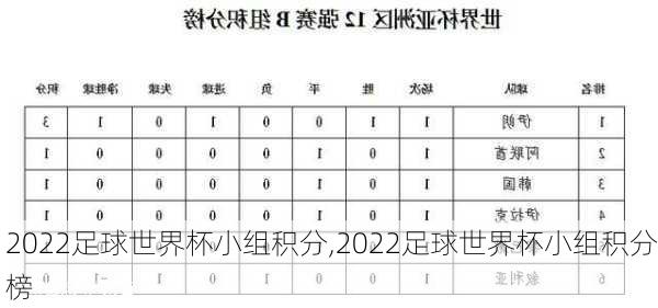 2022足球世界杯小组积分,2022足球世界杯小组积分榜