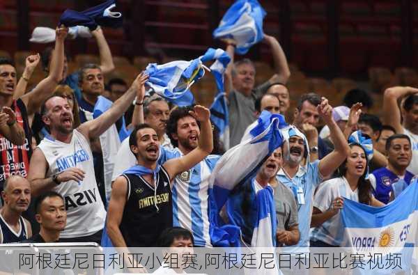 阿根廷尼日利亚小组赛,阿根廷尼日利亚比赛视频