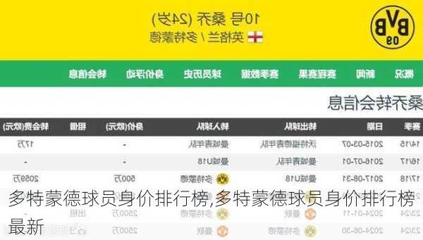 多特蒙德球员身价排行榜,多特蒙德球员身价排行榜最新