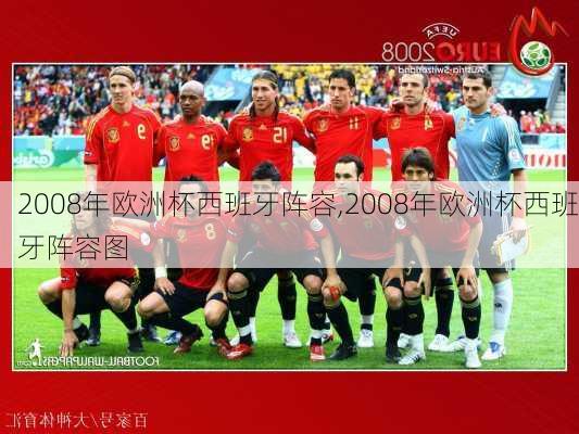 2008年欧洲杯西班牙阵容,2008年欧洲杯西班牙阵容图