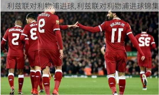 利兹联对利物浦进球,利兹联对利物浦进球锦集