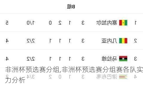 非洲杯预选赛分组,非洲杯预选赛分组赛各队实力分析