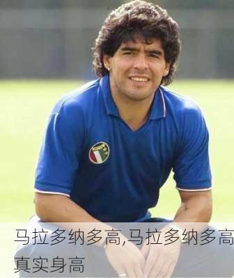 马拉多纳多高,马拉多纳多高真实身高