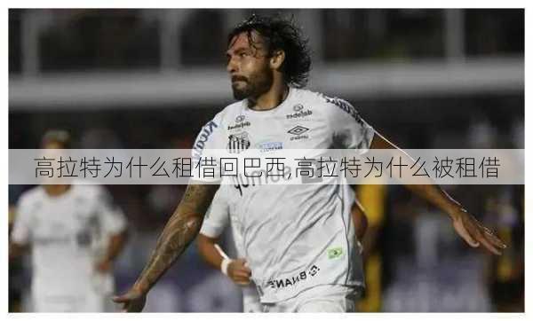 高拉特为什么租借回巴西,高拉特为什么被租借