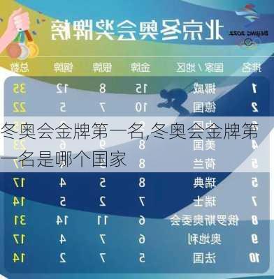 冬奥会金牌第一名,冬奥会金牌第一名是哪个国家