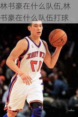 林书豪在什么队伍,林书豪在什么队伍打球