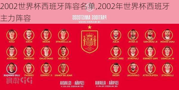 2002世界杯西班牙阵容名单,2002年世界杯西班牙主力阵容