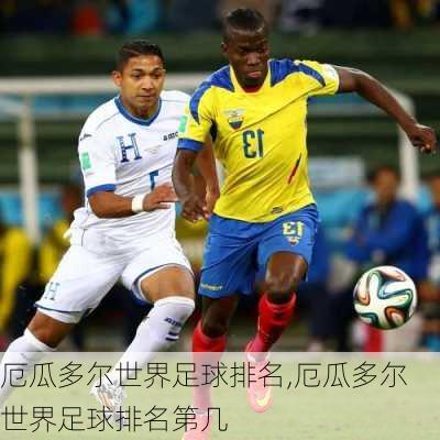 厄瓜多尔世界足球排名,厄瓜多尔世界足球排名第几