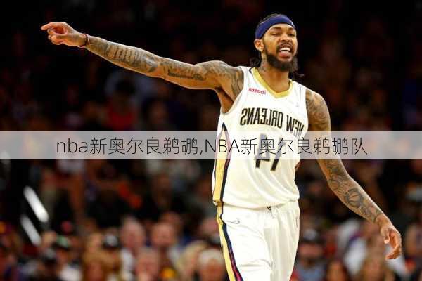 nba新奥尔良鹈鹕,NBA新奥尔良鹈鹕队