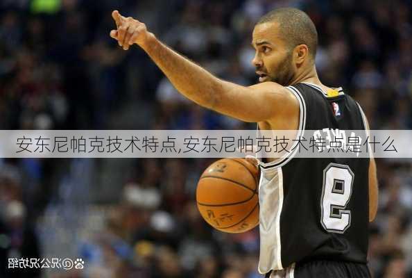 安东尼帕克技术特点,安东尼帕克技术特点是什么